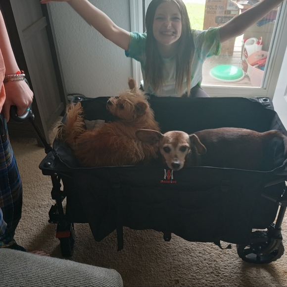 PLEASE READ! Bundle for a great deal - Picture 16 of 16